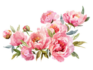 Watercolor pink peonies arrangement on white background