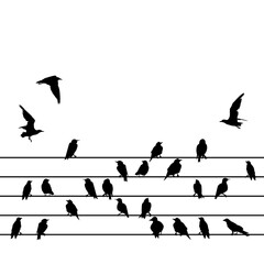 Silhouette of a group of birds sitting on wires on a white background