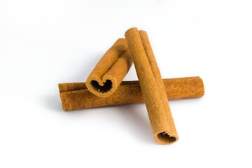 Various cinnamon bark pieces displayed on white, capturing their unique forms and natural coloration.