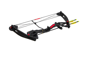 Compound bow with twin arrows