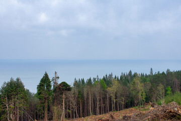 Mourne Mountains in Newcastle, Northern Ireland. View on Mountain, Forest and Irish Sea from above