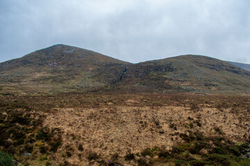 Mourne Mountains in Newcastle, Northern Ireland. View on Mountain, Forest and Irish Sea from above