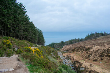 Mourne Mountains in Newcastle, Northern Ireland. View on Mountain, Forest and Irish Sea from above