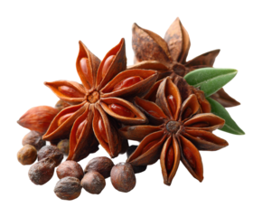 Exploring culinary delights star anise and nutmeg spices kitchen food bright isolated on transparent background