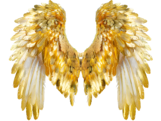 A pair of golden wings, representing freedom, achievement, and angelic symbolism.