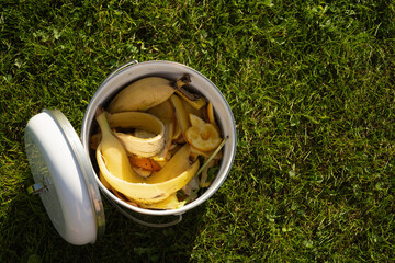 Metal compost bucket with peel vegetables making compost on green lawn. Outdoors. Ecosystem....