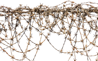 Rusty barbed wire close-up, symbolizing barriers, restrictions, and resilience.