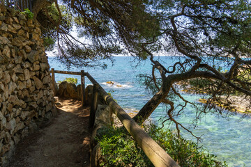 Cami de ronda coastal path overlooking mediterranean sea in platja d'aro, costa brava