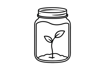 A small plant growing inside a glass mason jar