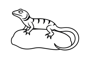 Fototapeta premium Cartoon lizard sitting on a rock simple line art illustration