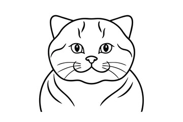 Adorable british shorthair cat line art illustration
