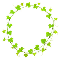 Green Vine Wreath: Lush Foliage Circle for Nature Designs	