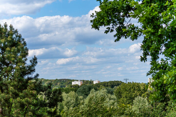 Naklejka premium A distant view of forest, clouds, and residential buildings on the horizon. The image is framed by treetops.