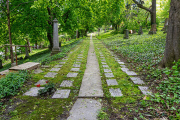 A serene mossy pathway through the historic Toronto Necropolis, surrounded by lush greenery and tombstones.