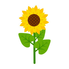 Elegant illustration of a vibrant sunflower with a detailed center and lush green leaves. Perfect for nature-themed designs, floral compositions, eco-friendly projects