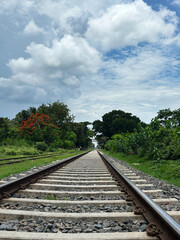 Perspective View of Railway Tracks in Nature