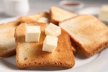 Slices of tasty toasted bread with butter on plate, closeup