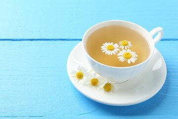 Delicious chamomile tea in cup and fresh flowers on light blue wooden table, closeup. Space for text
