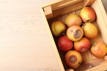 Damaged and rotten apples in wooden crate on table, top view. Space for text