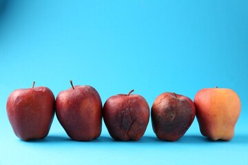 Damaged red apples on light blue background. Space for text