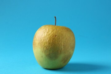 One rotten green apple on light blue background