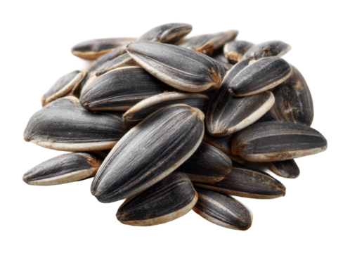 Sunflower seeds harvesting process farm field food natural isolated on transparent background
