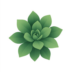 Green clover leaf vector illustration on a white background