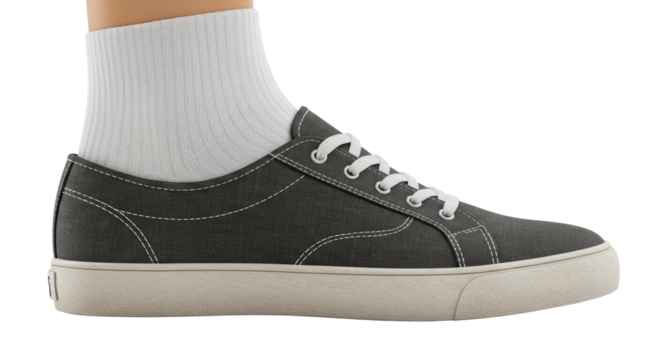 Isolated Gray Canvas Shoe with White Sock