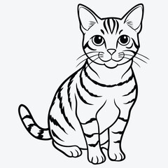 Obraz premium American Shorthair line art White background illustration Generative Ai