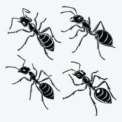 Ant line art White background illustration Generative Ai