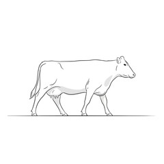 Cow Illustration: Minimalist Line Art for Dairy & Agriculture