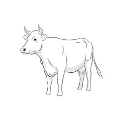 Obraz premium White Cow Illustration: Farm Animal Drawing