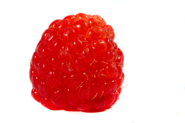 Raspberry. It's time to rejoice - it's finally raspberry season. There is something magical about this little gem; there is only a short window to get a fine tasting basket.