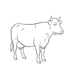 Cow Outline Illustration - Dairy Farm Animal