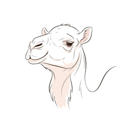 Elegant Camel Sketch - Desert Animal Illustration