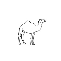 Camel Outline: Desert Animal Vector Illustration