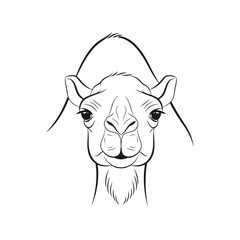 Camel Portrait Line Art: Detailed Animal Illustration