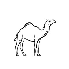 Camel Outline: Desert Animal Illustration for Design