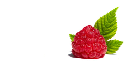 Raspberries are an excellent source of vitamin C, manganese and dietary fiber. They are also a very...