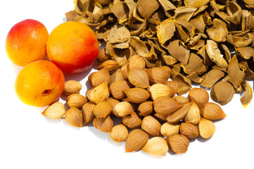 Apricot kernel. Refined apricot kernel oil is used as a flavoring in foods. Amygdalin and a...