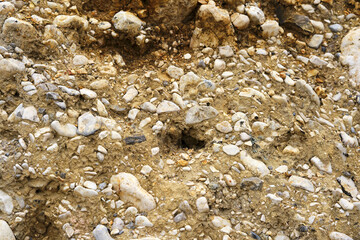 Natural rocky terrain with mixed stones and gravel background