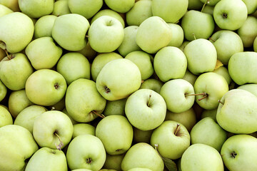 Natural texture, background or wallpaper. Big harvest of season, apples for production and industry. A lots of delicious fresh green ripe apples in farm, warehouse or market, outdoor, copy space