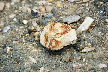 Close-up of weathered rock surrounded by gravel and soil in natural outdoor setting