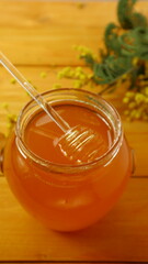 Fresh tasty honey and cheese                               