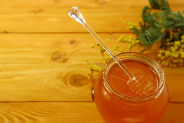 Fresh tasty honey and cheese                               