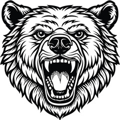 Fototapeta premium Angry Grizzly Bear Head