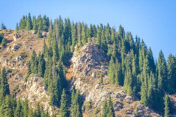 Stunning view of the Tien Shan in autumn Kaleidoscope of vibrant foliage and evergreen pines...