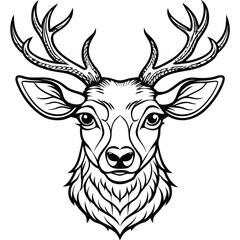 Fototapeta premium Black and white deer head illustration