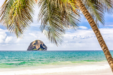 Diamond Rock island in Martinique, France framed by a coconut tree. Diamond Rock is a basalt island located south of Grande Anse du Diamant. The uninhabited island is about 2km from Pointe Diamant.