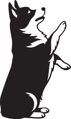 Corgi standing on hind legs black and white, Dog upright position playful design